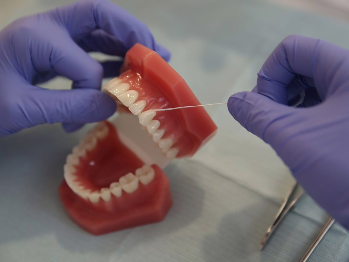 Flossing demonstrated on a dental model