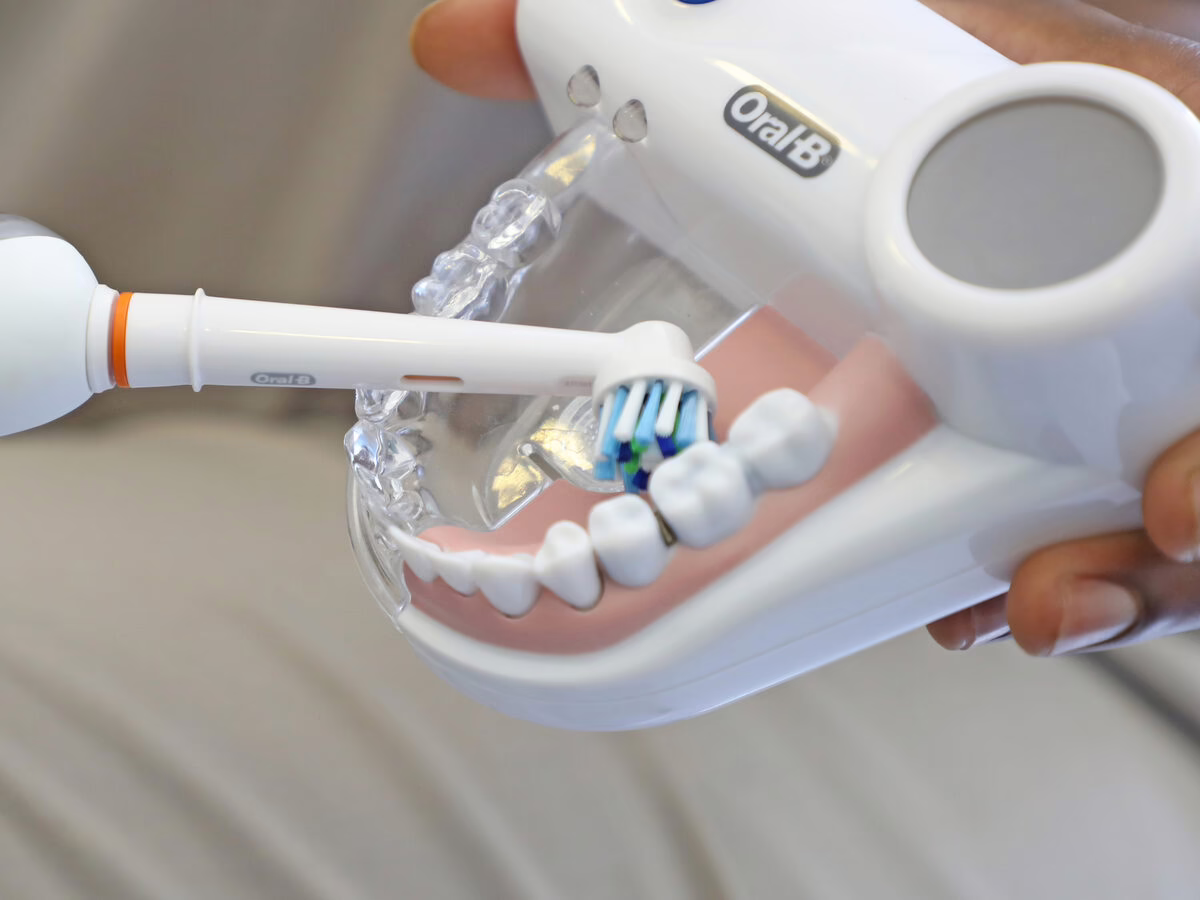 Electric toothbrush technique demonstrated on a dental model