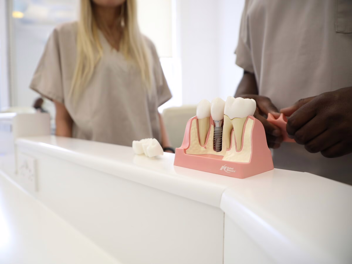 Dental implant model showing implants and crowns