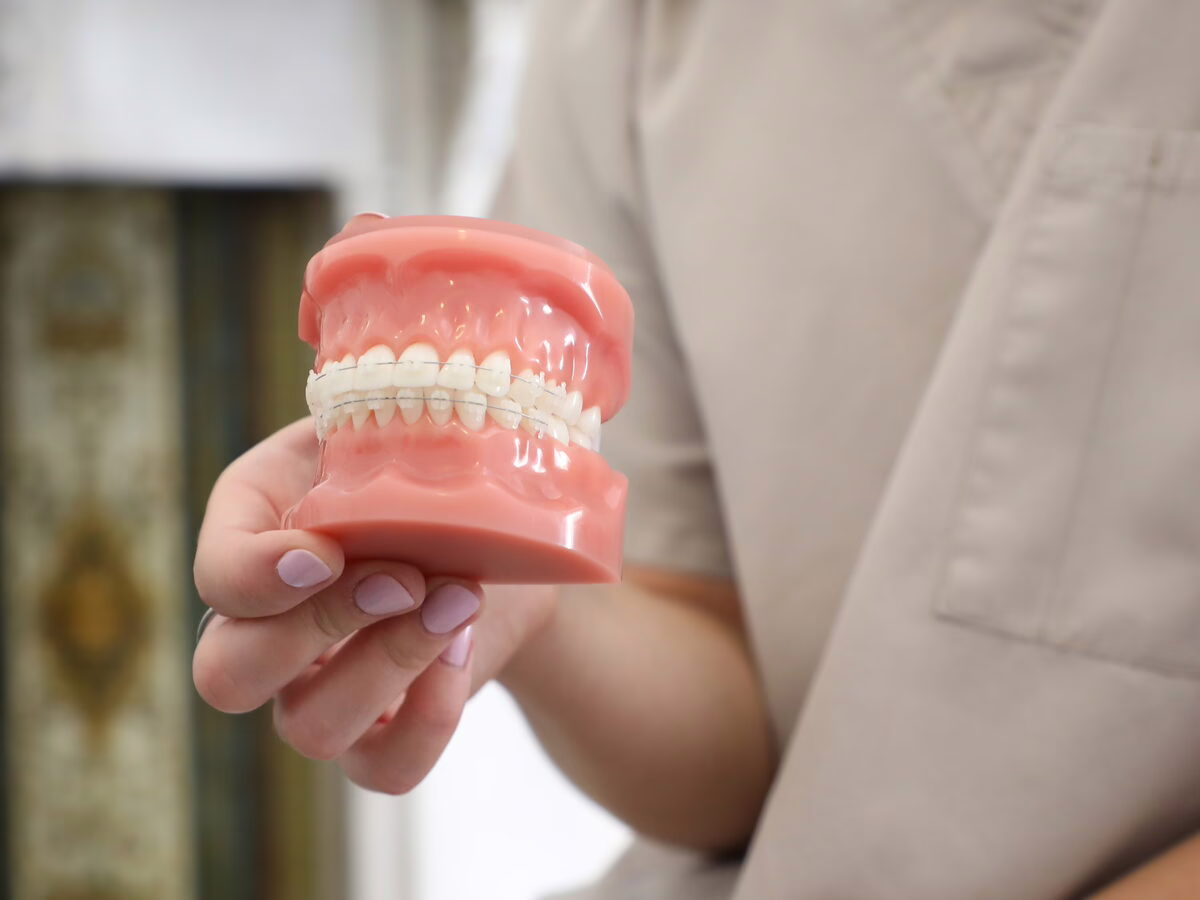 Dental model held by a clinician