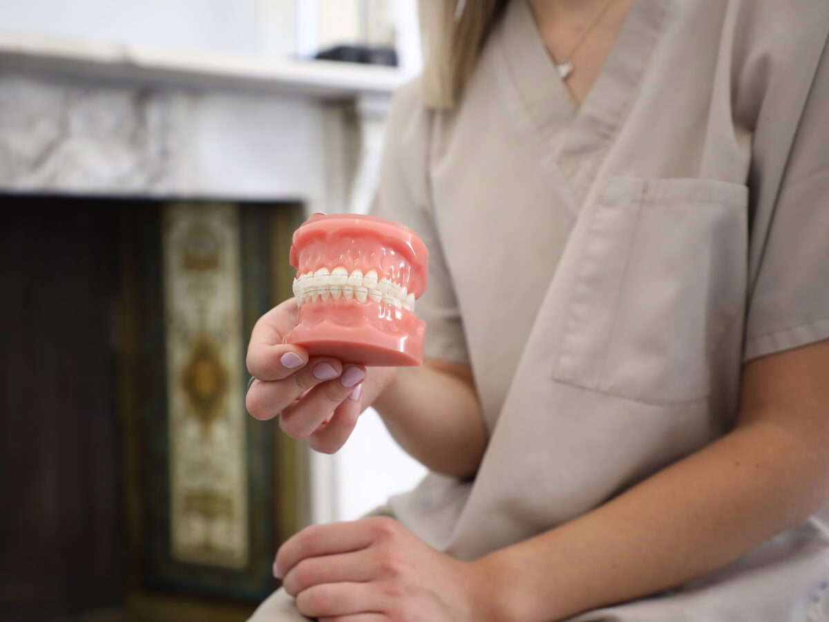 Dental model held by a clinician